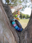 1694208654-img_3612-edited